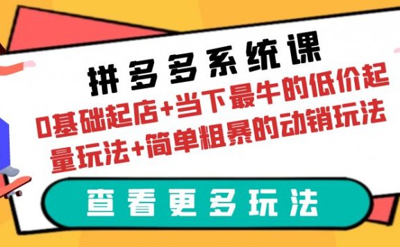 拼多多系统课：0基础起店+当下最牛的低价起量玩法+简单粗暴的动销玩法