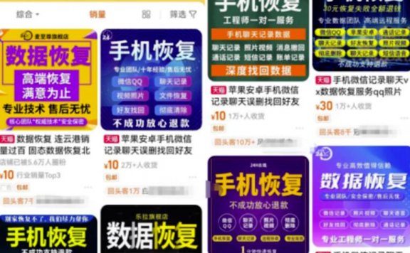数据恢复项目，轻松日入500-1000+