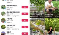 抖音三农领域带货副业思路,可以长期盈利的赛道