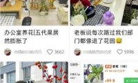 小红书导流快团团卖货实操案例,日引200+精准粉