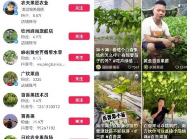 抖音三农领域带货副业思路,可以长期盈利的赛道