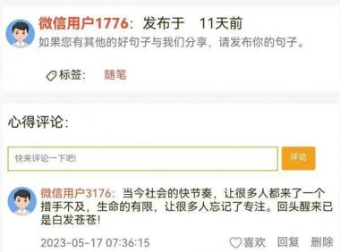 微信今日句子搞钱小项目，一条句子收入260