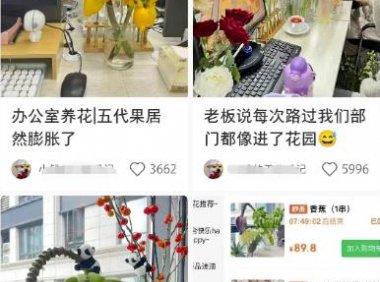 小红书导流快团团卖货实操案例,日引200+精准粉