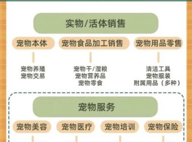 小红书宠物赛道,长期稳定玩法,副业每月收益6000+