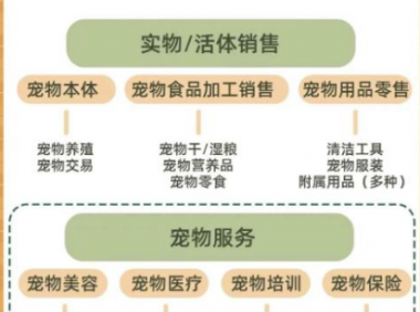 月入过万的宠物赛道副业项目