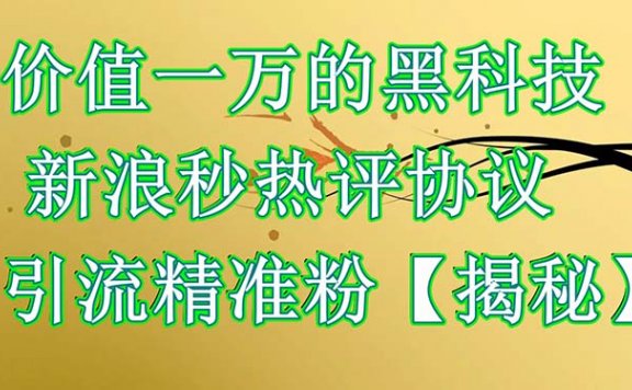 黑科技:新浪秒热评协议,引流精准粉【揭秘】