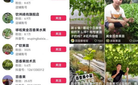 抖音三农领域带货副业思路，可以长期盈利的赛道