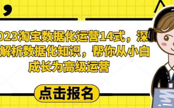 2023淘宝数据化运营14式,深度解析数据化知识,帮你从小白成长为高级运营