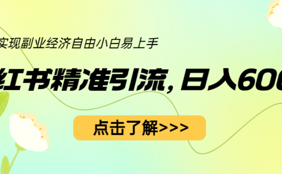小红书精准引流,小白日入600+,轻松实现副业经济自由(教程+1153G资源)