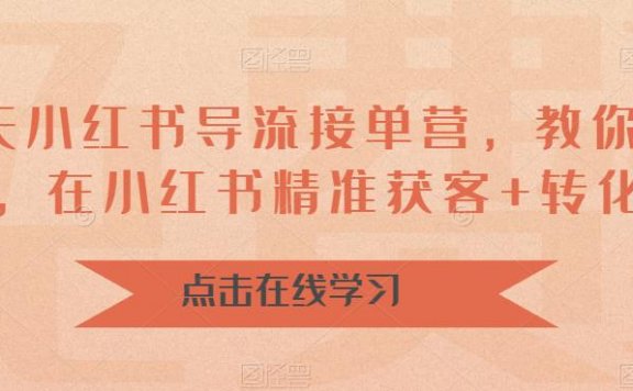 16天-小红书导流接单营，教你引爆流量，在小红书精准获客+转化成交