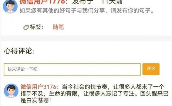 微信今日句子搞钱小项目，一条句子收入260