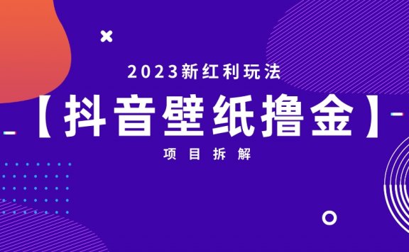 2023抖音壁纸小程序撸金项目拆解