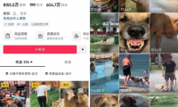 方言搞笑配音视频副业项目,月赚5000+