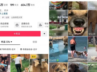 方言搞笑配音视频副业项目,月赚5000+