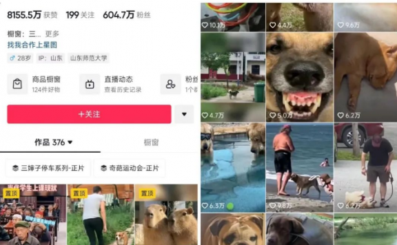 方言搞笑配音视频副业项目,月赚5000+