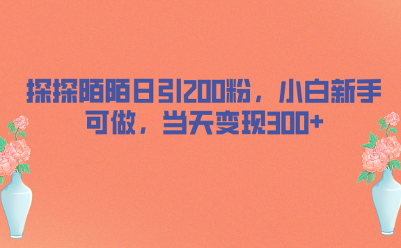 探探陌陌日引200粉,小白新手可做,当天就能变现300+