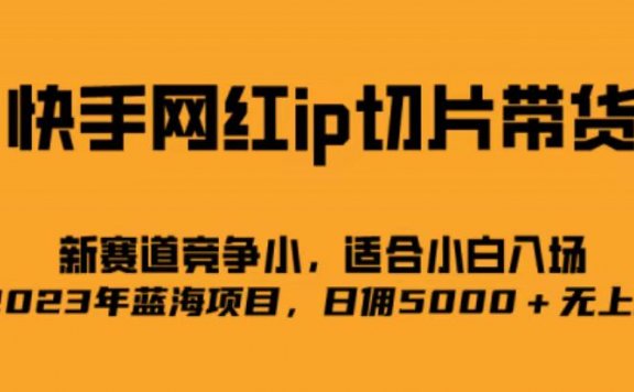 快手网红ip切片新赛道,竞争小事,适合小白  2023蓝海项目