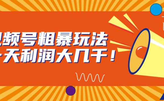 视频号赚钱粗暴玩法，一天利润大几千！