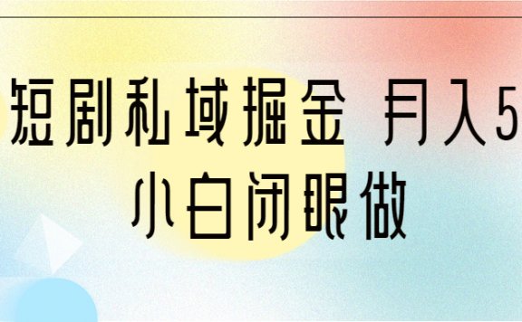 靠短剧私域掘金 月入5W 小白闭眼做(教程+2T资料)