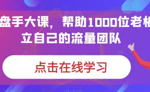 IP操盘手大课,帮助1000位老板建立自己的流量团队(13节课)