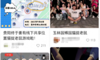 2023年偏门赚钱项目之真人版猫捉老鼠