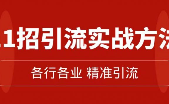 精准引流术:11招引流实战方法,让你私域流量加到爆(11节课完整版)