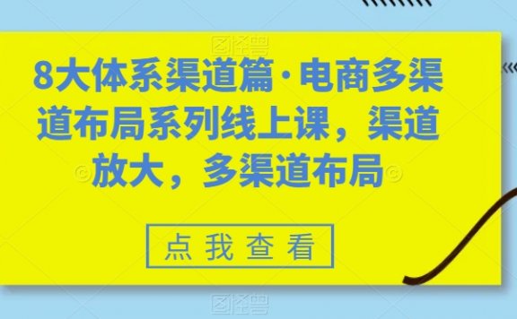 八大体系渠道篇电商多渠道布局系列线上课，渠道放大，多渠道布局