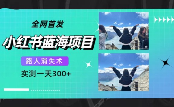 全网首发，小红书蓝海项目，路人消失术，实测一天300+（教程+工具）
