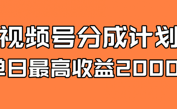 全新蓝海 视频号掘金计划 日入2000+