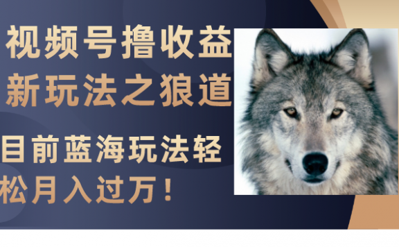 视频号撸收益新玩法之狼道，目前蓝海玩法轻松月入过万！