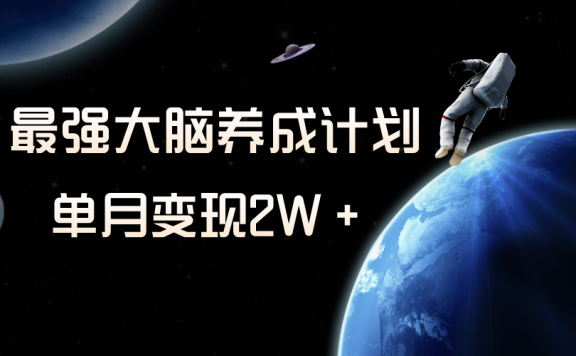 冷门虚拟项目,最强大脑养成计划,一个月变现2W+