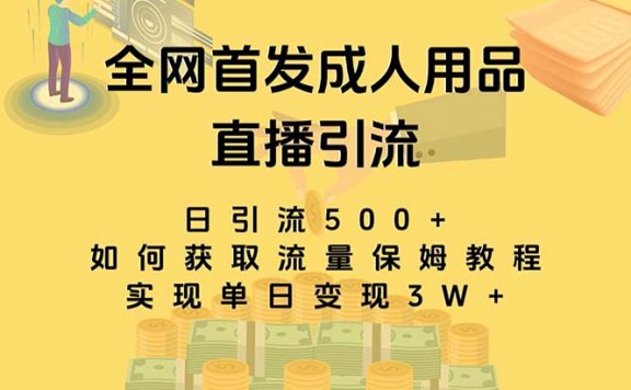 最新全网独创首发,成人用品直播引流获客暴力玩法,单日变现3w保姆级教程