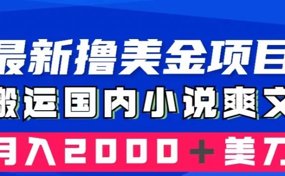 最新撸美金项目：国内爽文小说搬运，只需复制粘贴，月入2000＋美金