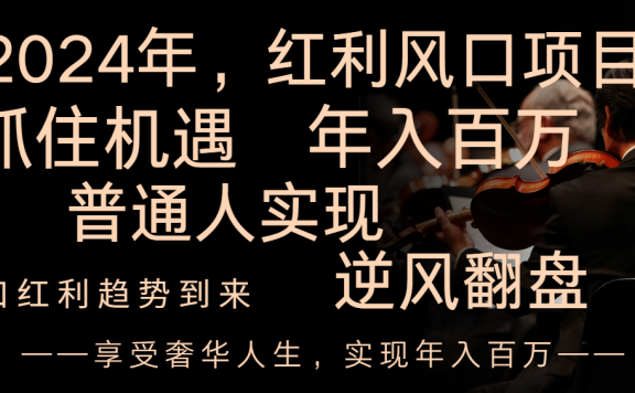 2024红利风口项目来袭，享受第一波红利，逆风翻盘普通人也能实现，年入百万