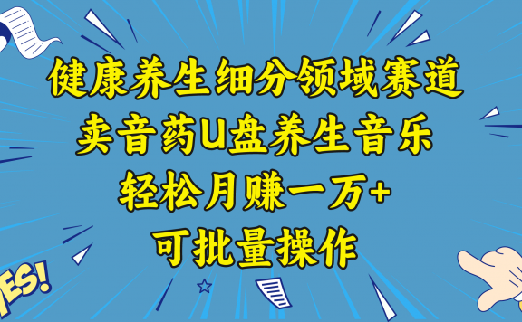 健康养生细分领域赛道,卖养生音乐U盘项目,轻松月赚一万+,可批量操作