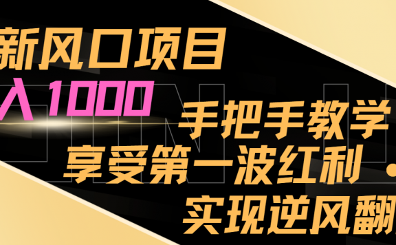 最新风口项目，日入过千，抓住当下风口，享受第一波红利，实现逆风翻盘