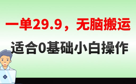 无脑搬运一单29.9,手机就能操作,卖儿童绘本电子版,单日收益400+