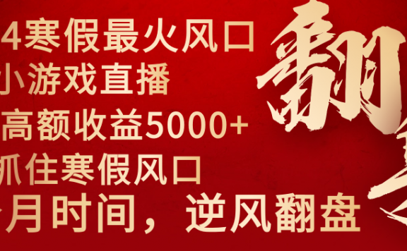 2024年最火寒假风口项目 小游戏直播 单场收益5000+抓住风口 一个月直接提车