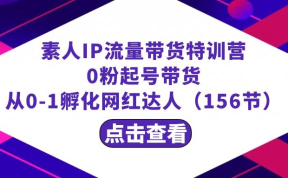 素人IP流量带货特训营:0粉起号带货 从0-1孵化网红达人(156节)