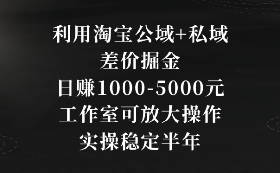 利用淘宝公域+私域差价掘金项目,日赚1000-5000元,工作室可放大操作,实操稳定半年