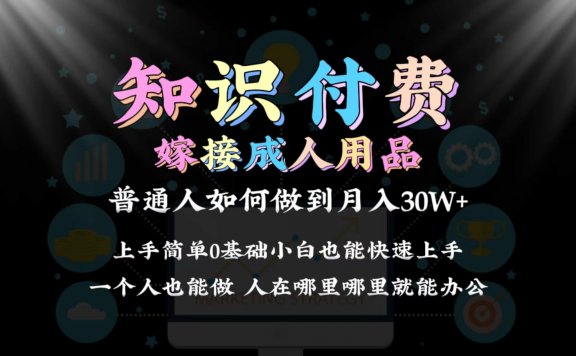 2024普通人做知识付费结合成人用品如何实现单月变现30w 保姆教学1.0