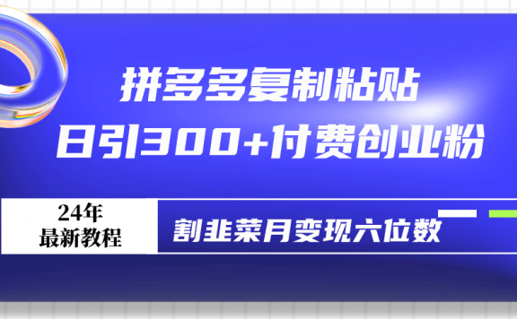 拼多多复制粘贴日引300+付费创业粉,割韭菜月变现六位数最新教程!