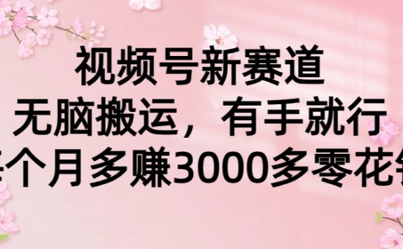 视频号新赛道,无脑搬运,有手就行,每个月多赚3000多零花钱