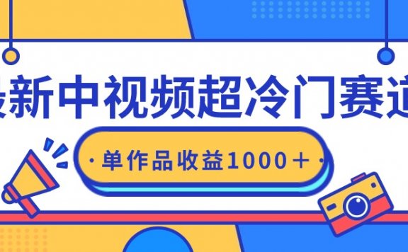 最新中视频超冷门赛道,轻松过原创,单条视频收益1000+