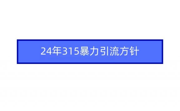 2024年315暴力引流方针