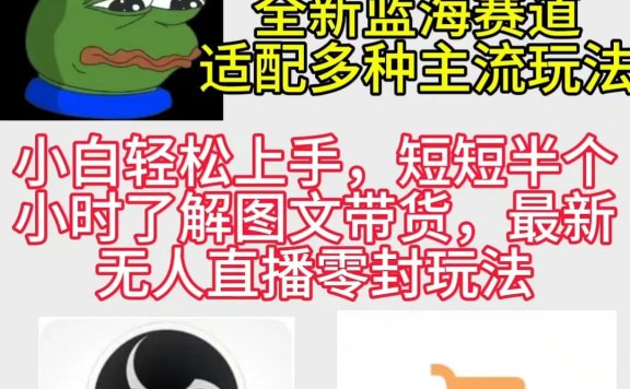 反方向的蛙3.0,图文最新玩法,变现多元化,新蓝海项目,小白轻松上手