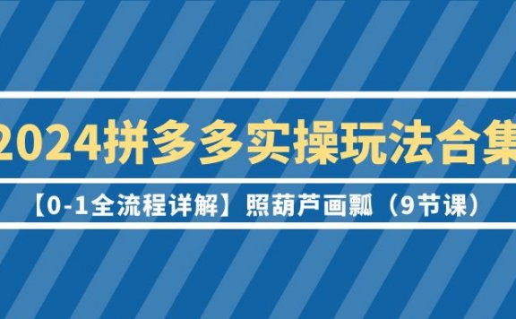 2024拼多多实操玩法合集【0-1全流程详解】照葫芦画瓢(9节课)