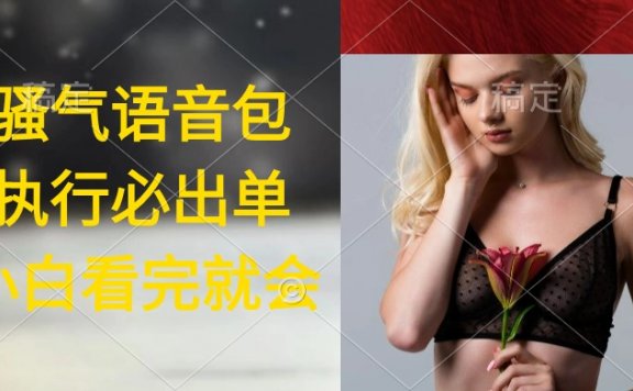 超火骚气语音包项目,执行就出单,日入2000+,小白看完课程就能马上实操
