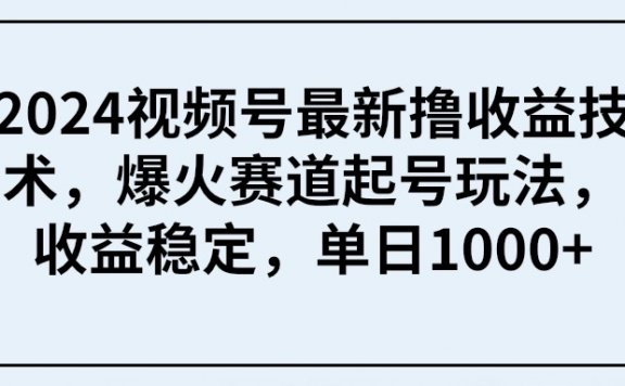 2024视频号最新撸收益技术,爆火赛道起号玩法,收益稳定,单日1000+