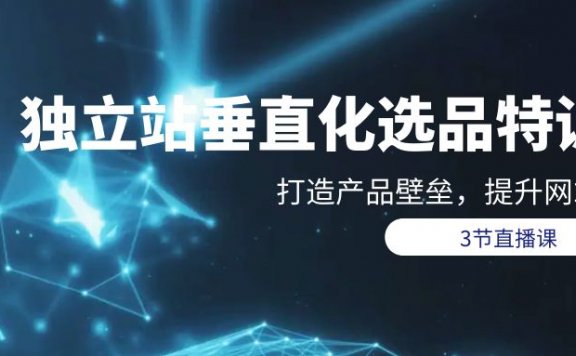 独立站垂直化选品训练营,打造产品壁垒,提升网站利润(3节直播课)